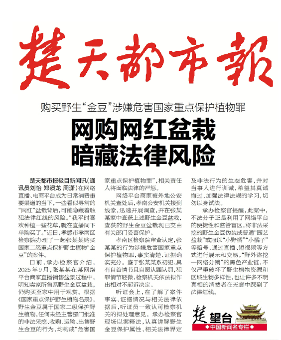 "网红"盆栽可能暗藏刑责!检察官提醒：野生"金豆"碰不得